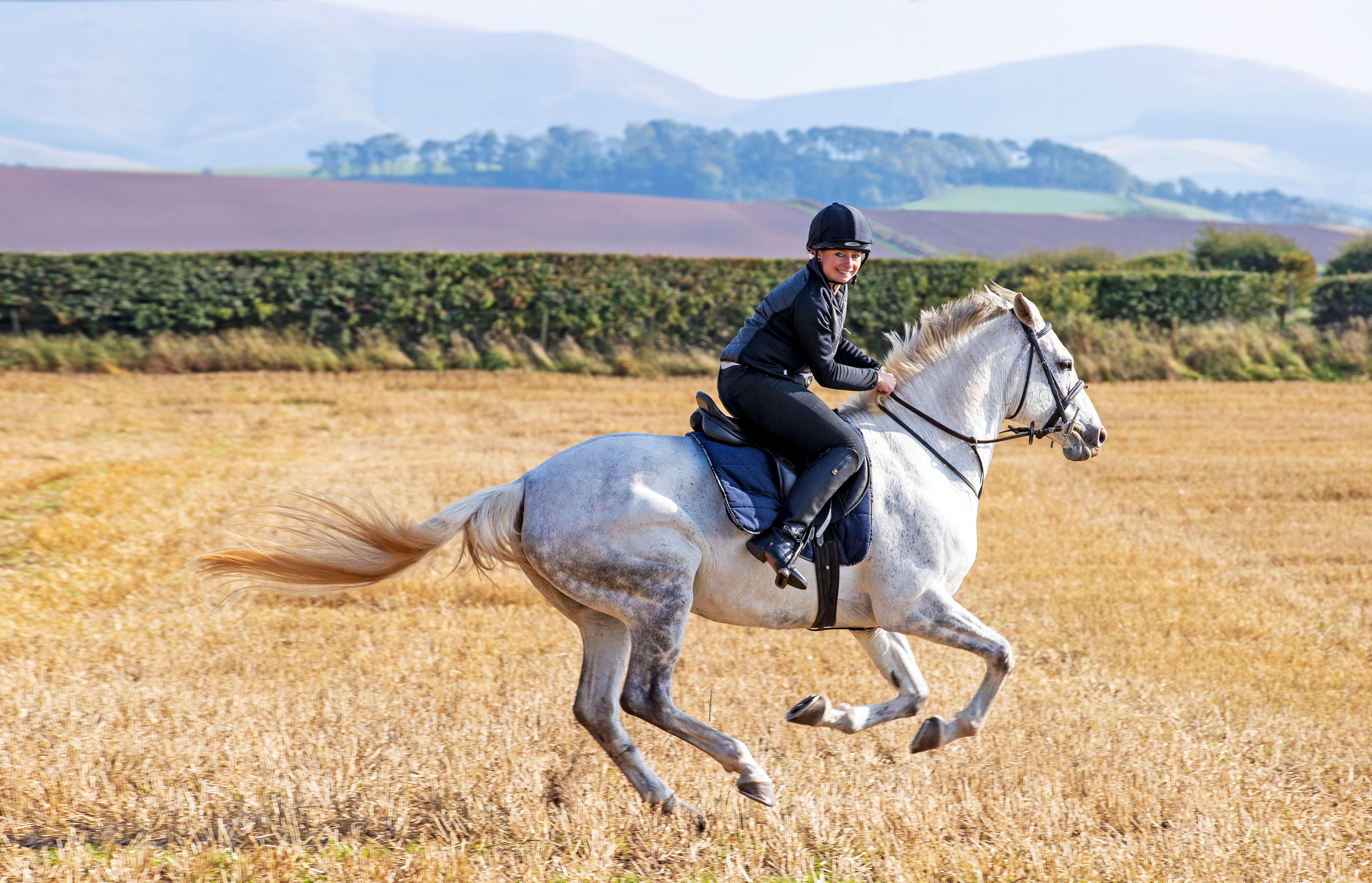 Schloss Roxburghe, Part Of Destination By Hyatt Ngoại thất bức ảnh A rider on a purebred Spanish horse